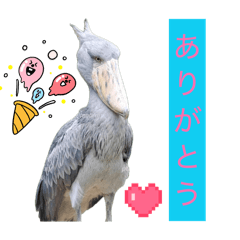 riri_20260610203837