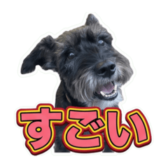 kuu_20260610205719