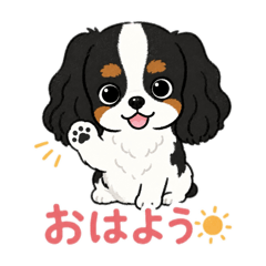 HANA_20260610210953