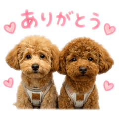 kida moe_20260610211616