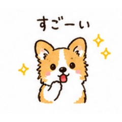 Y_20260610211847