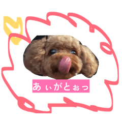Kodaira_20260610212314