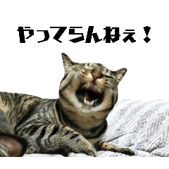 Urimiya_20260610212956