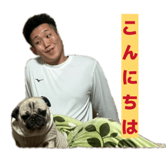 laughter pug