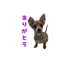 ren_20260610215900