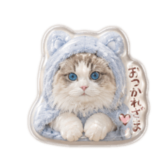 chocolate_20260610221610