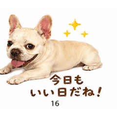 niiya_20260610221841