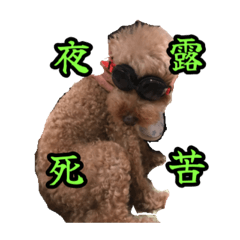 Ryu_20260610223108