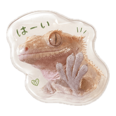 mashumaro_everyday[3D stickers]