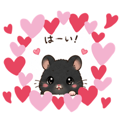 KOHa.k.aYUKA8_20260610230136
