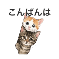 hi_20260610231230