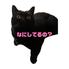 ^_^_20260610231506