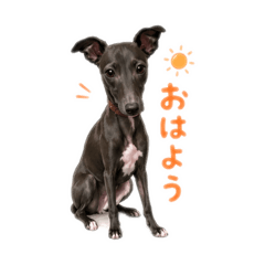 Itagurekawaii