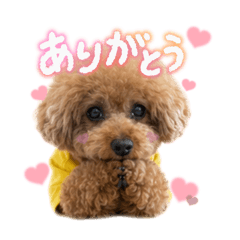 choco_20260610234046