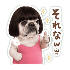 funnydogww