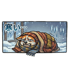 shinadmj