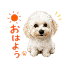 okayu_20260611004636