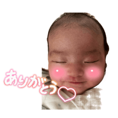 m.t_20260611004140