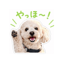 Riku_20260611092434