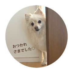 ROCOChan_20260611104920