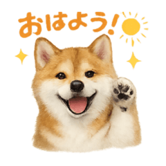 HanaCho_20260611114201