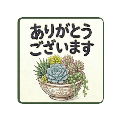 yasue_20260611115844