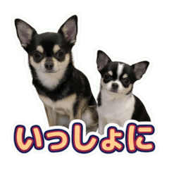 UME-CHIYO_20260611115431