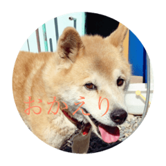 busakawa*tarochan