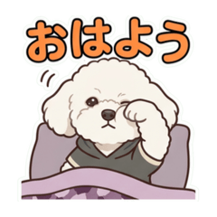 YUKA_20260611011224