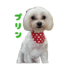 ari_20260611012555