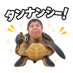 hachi_20260611031806