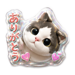 Hachi_20260611061234