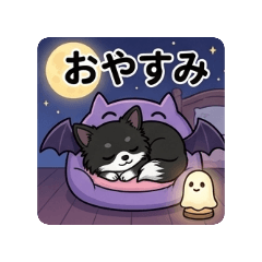 shunachiwa_20260611122854