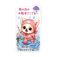 godoagechan_20260611130330