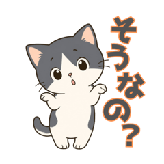 HIRO KOBA_20260611131047