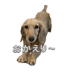 rico_20260611132319