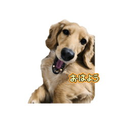 rico_20260611132136