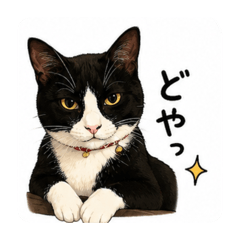 aiqo_20260611132836