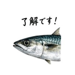 ryumama_20260611133515