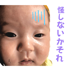 TP.sugar_20260611140100