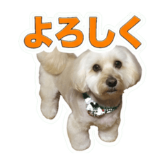 nataro_20260611140047
