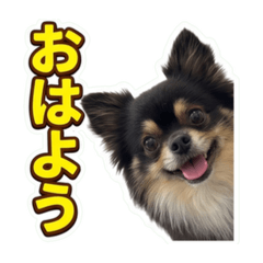 Ryuji_20260611141020