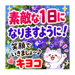Kiyoko_20260611140103
