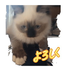 natu_20260611141243