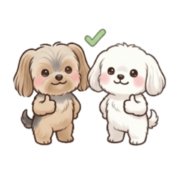 ルークとレイア②（ヨーキーとマルチーズ）
