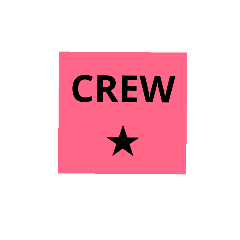 star airlines(pink)