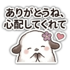 Wish-granting sheep_20260612064540