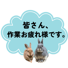azukichi_20260612074816