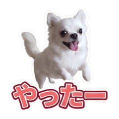 YU_20260612074049