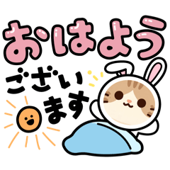 cat_20260612084453